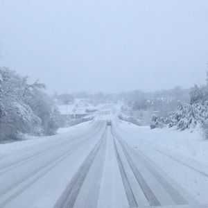 Meet your Posher, Cody